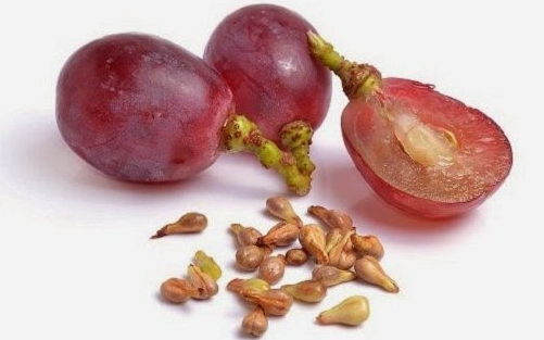 Manfaat Dan Kandungan Buah Biji Anggur Untuk Kesehatan Mata