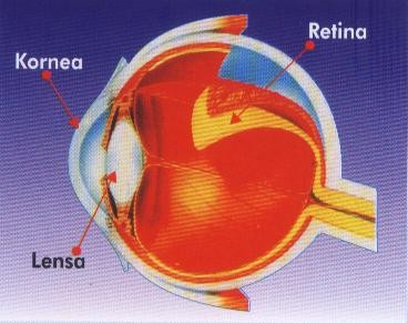 Pantangan Untuk Penderita Retina Mata